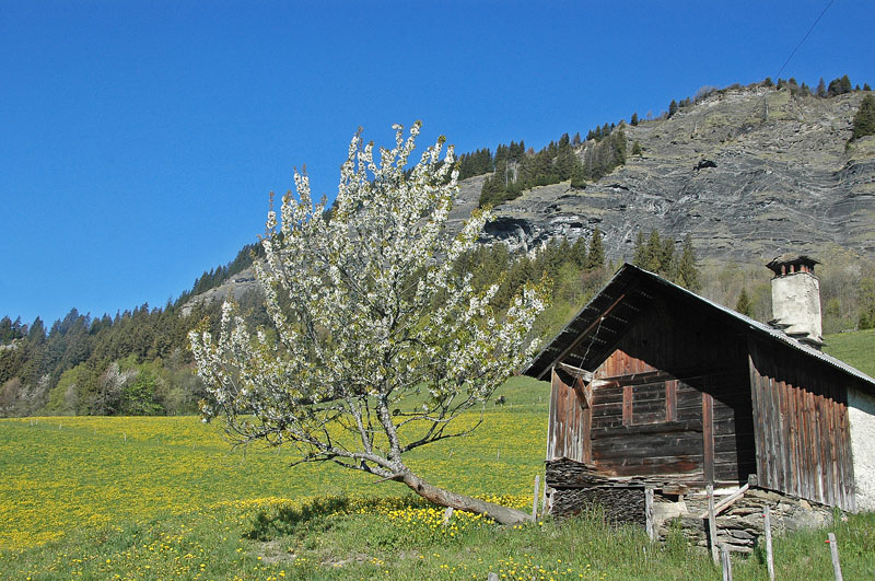 Tête de Torraz : Chalet à Sciozier