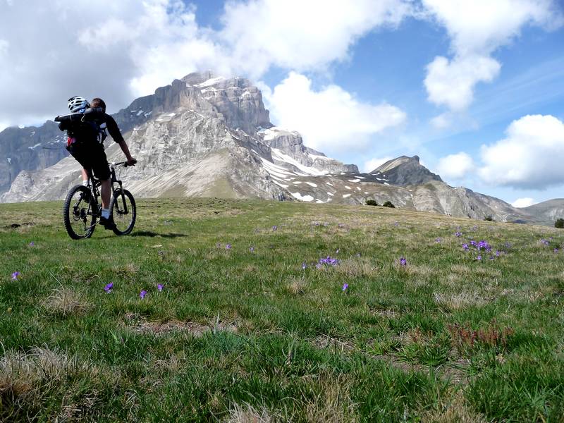 Col des Faïsses : on roule sur du gazon avec un tapis de fleurs