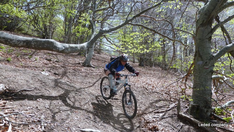 #15 Chrissou : magnifique portion en forêt mais trop courte Chrissou : magnifique portion en forêt mais trop courte