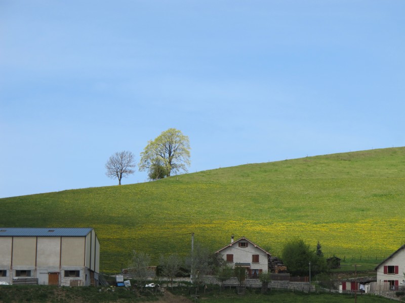 #3 vercors : l vercors : l'abre