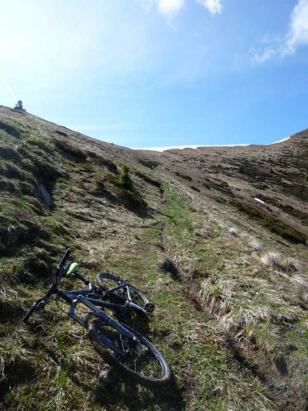 #11 Sous le Col des Vachers : Descente sur pelouse.. Et c Sous le Col des Vachers : Descente sur pelouse.. Et c'est parti!!