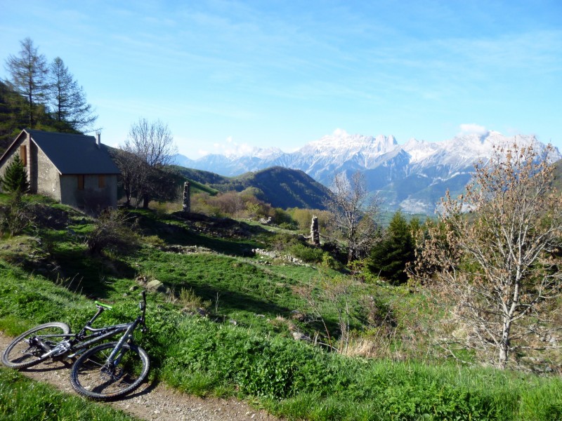#4 Vers le col de l Vers le col de l'Esparcelet : Soleil à la Cabane des Vachers et le Dévoluy ..
Bonne caillante dans cette forêt en Est