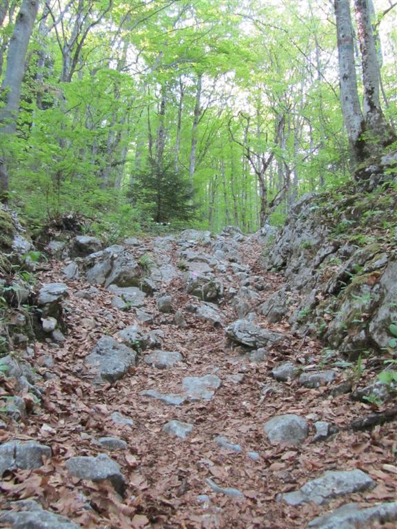 #8 Croix du Nivolet : Passage cassant sous la Croix. Il n Croix du Nivolet : Passage cassant sous la Croix. Il n'est pas passé celui là. Je l'aurais un jour ...