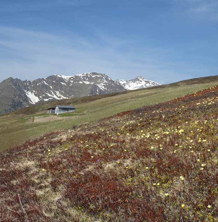 #8 Montée au dôme de Vaugelaz : Bergerie de Madelon et vue sur la Pointe de la Portette, Roc de Charbonnière Montée au dôme de Vaugelaz : Bergerie de Madelon et vue sur la Pointe de la Portette, Roc de Charbonnière