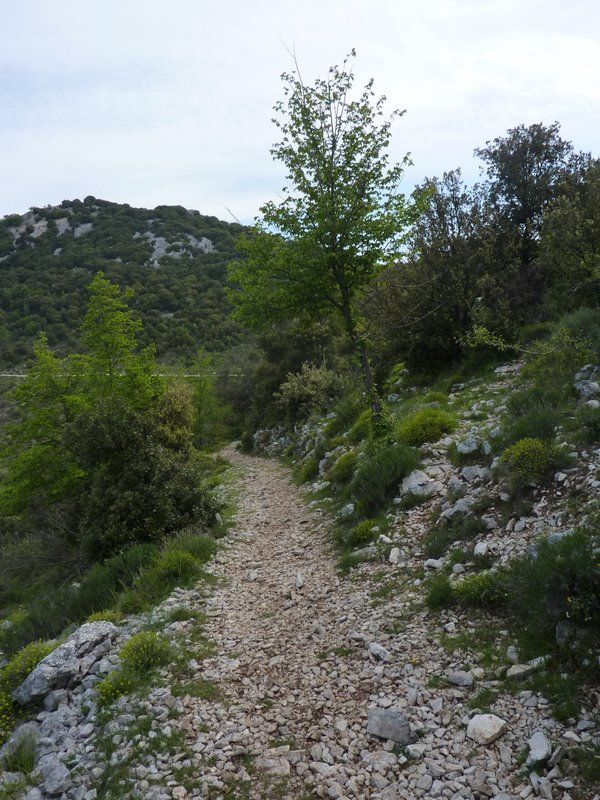 #2 Pointe de Siricocca : Le sentier de montée depuis le Col de Verroux Pointe de Siricocca : Le sentier de montée depuis le Col de Verroux