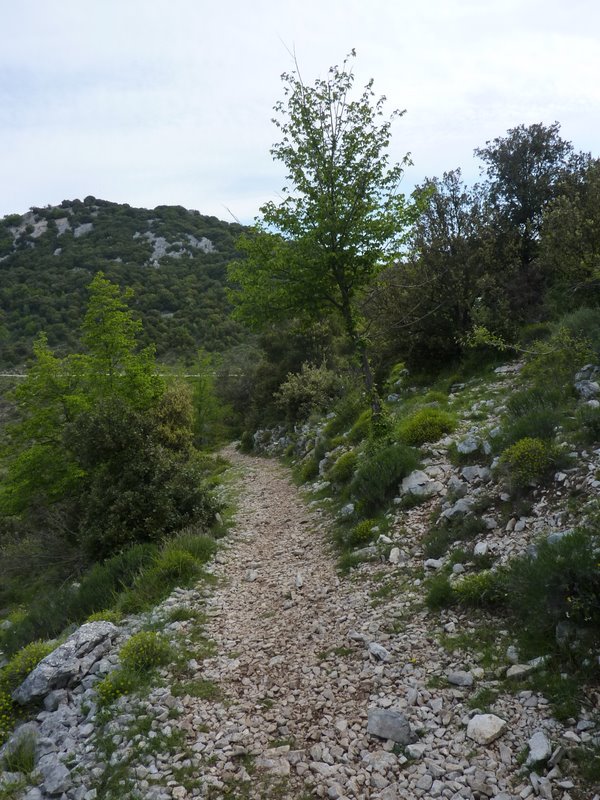 Pointe de Siricocca : Le sentier de montée depuis le Col de Verroux