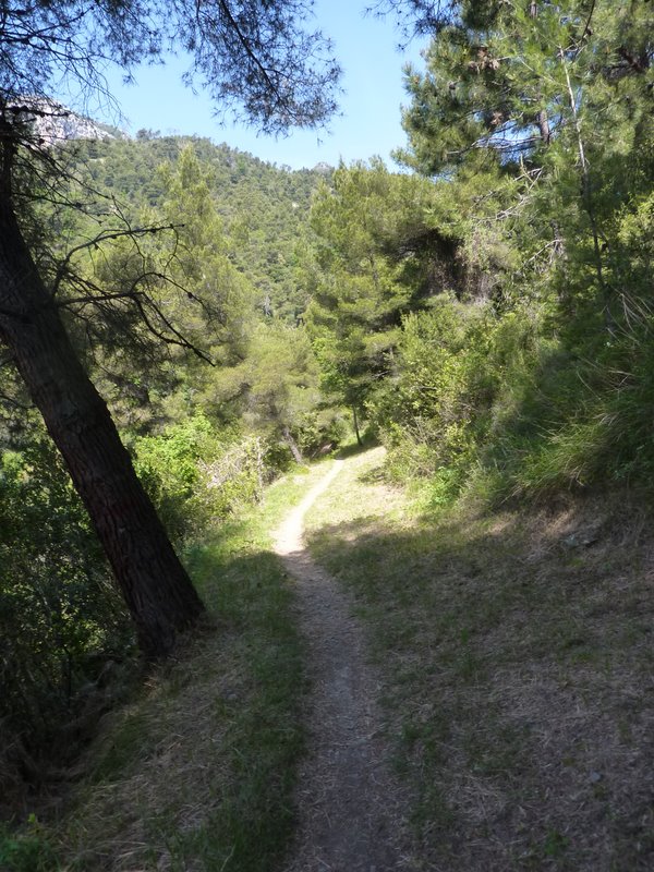 #10 GR 51 : Un pur plaisir GR 51 : Un pur plaisir