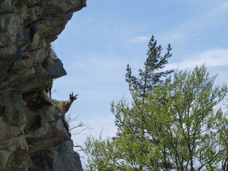 Sous les falaises : D'ailleurs nous sommes épiés