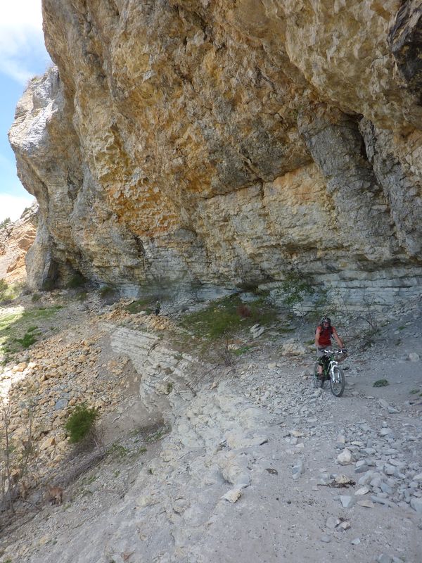 Sous les falaises : La traversée truffée de bouquetins si on a de la chance