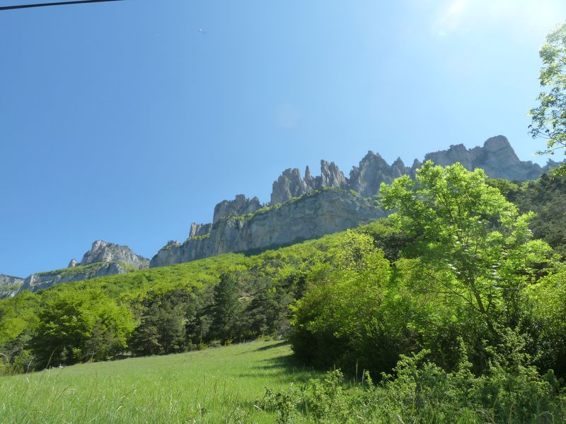 #3 Archiane : Entourés d Archiane : Entourés d'aiguilles