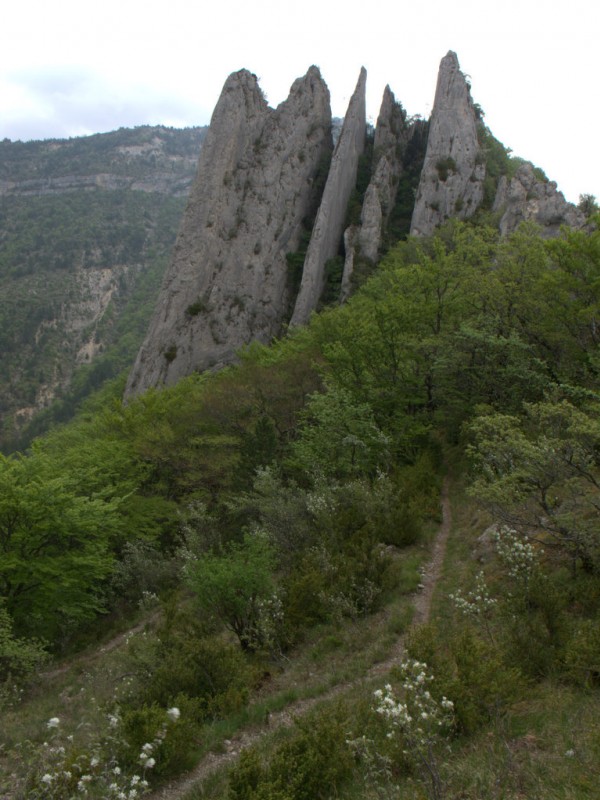 #7 Rochers des Blaches : les épingles au pied des tranches de dalles Rochers des Blaches : les épingles au pied des tranches de dalles