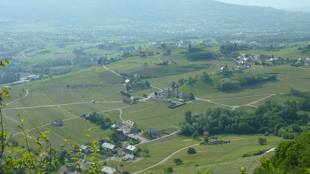 #5 Chignin : un petit air de Bourgogne... Chignin : un petit air de Bourgogne...