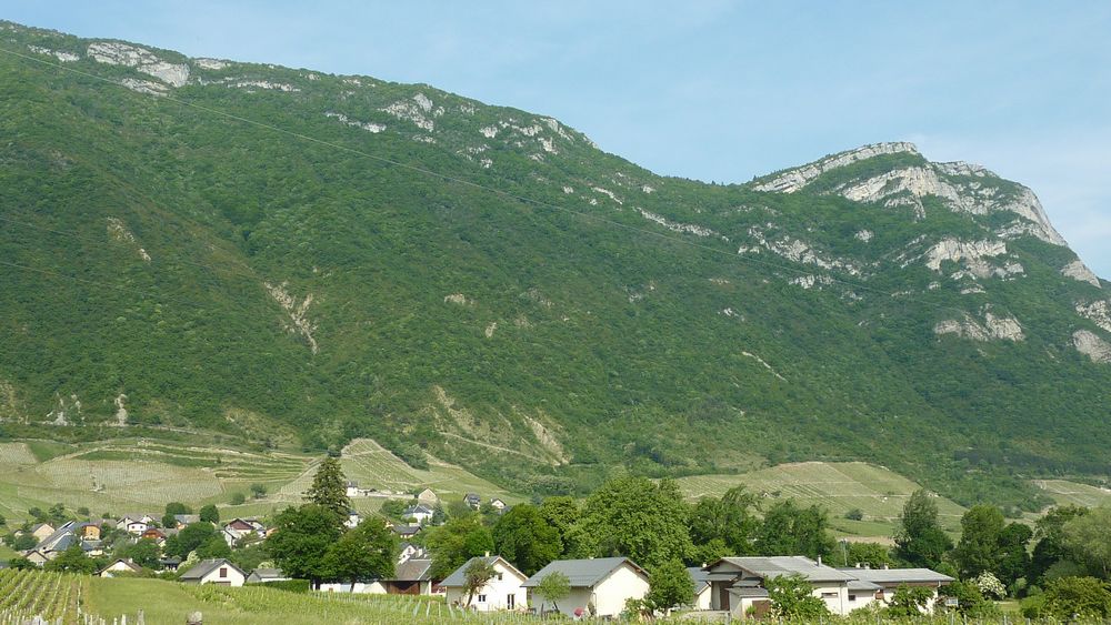 #7 Sentier du jour : le Trou de Chignin est en haut à droite et les epingles arrivent dans la zone de vigne la plus haute à gauche Sentier du jour : le Trou de Chignin est en haut à droite et les epingles arrivent dans la zone de vigne la plus haute à gauche