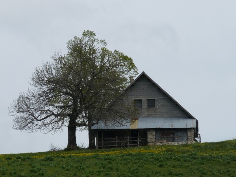 #1 L L'Emeindras du dessus : la petite maison dans la prairie.