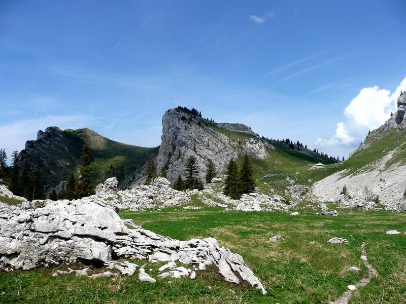 #4 Col de Mauvernay : joli mais pas roulant du tout Col de Mauvernay : joli mais pas roulant du tout