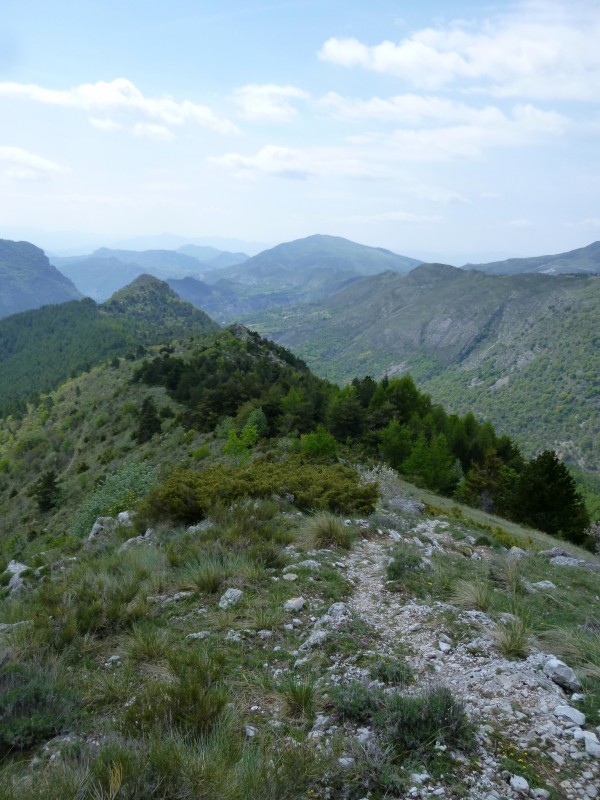 #33 Crête de Pierre-Mont : Aller encore un peu avant un final virevoltant et joueur dans un bois de rêve... Crête de Pierre-Mont : Aller encore un peu avant un final virevoltant et joueur dans un bois de rêve...