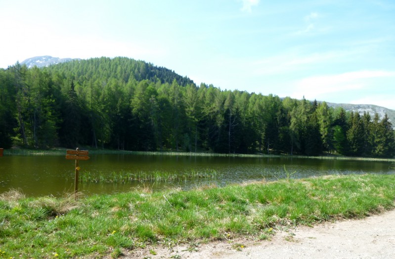 #11 Lac-étang.. des Monges : juste après une somptueuse forêt de hêtres .. Lac-étang.. des Monges : juste après une somptueuse forêt de hêtres ..