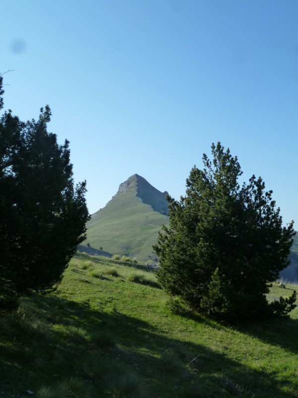 #3 Vers le col la Croix de Veyre : La petite Cloche, me glisse-ton dans l Vers le col la Croix de Veyre : La petite Cloche, me glisse-ton dans l'oreille ;-)