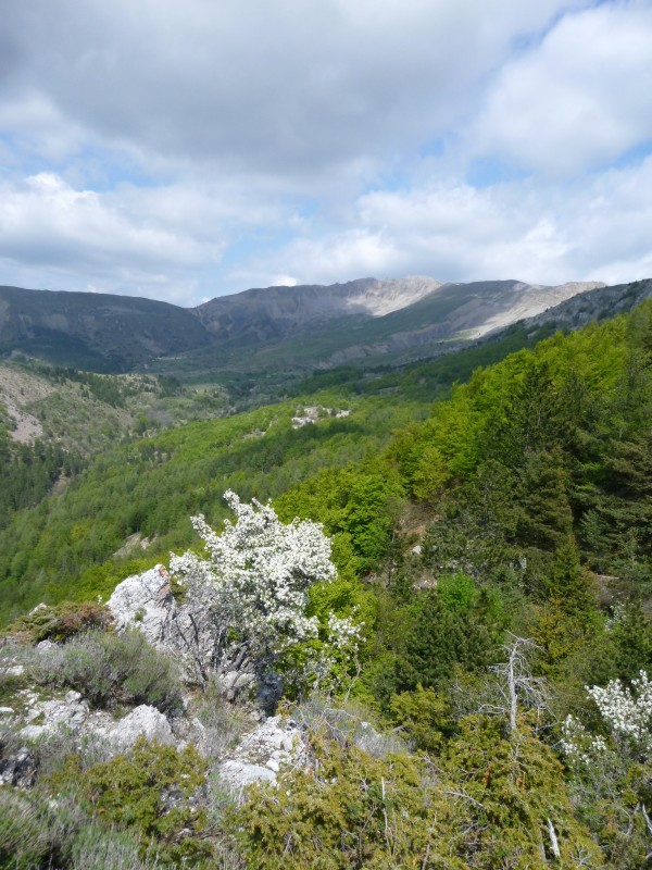 #34 Les Monges et ses crêtes : Quelle virée fabuleuse !! Les Monges et ses crêtes : Quelle virée fabuleuse !!