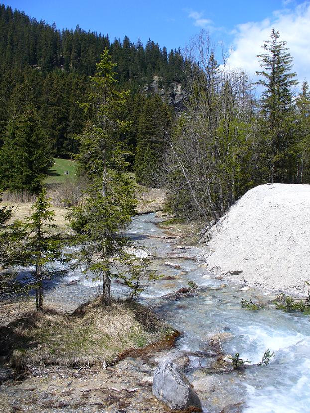 #10 Lac de la Rosière : ... le torrent ... Lac de la Rosière : ... le torrent ...