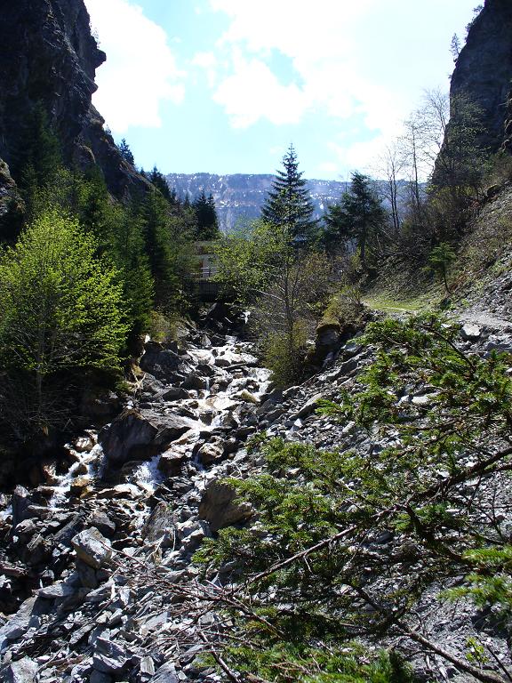 #3 Torrent de la Rosière : ... jusqu Torrent de la Rosière : ... jusqu'à l'arrivée ...