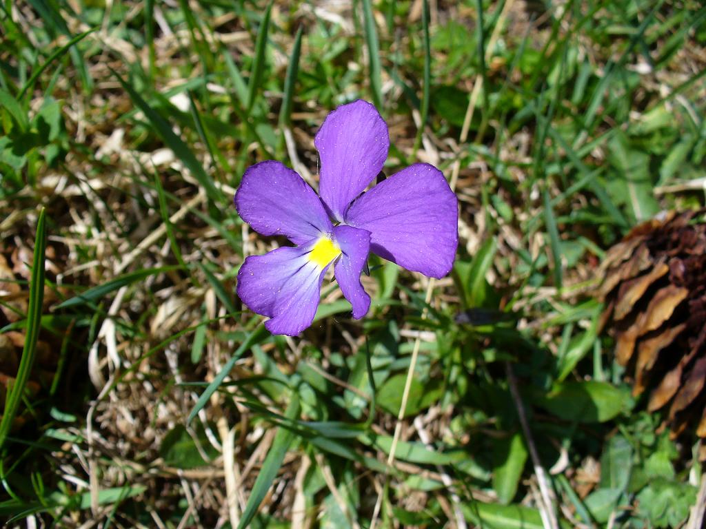 #11 Lac de la Rosière : ... une pensée, pour ceux qui taffent ... Lac de la Rosière : ... une pensée, pour ceux qui taffent ...