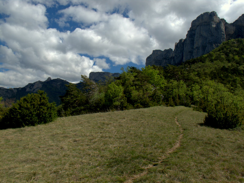 #2 Le Bichon : petite prairie sous les falaises du Glandasse Le Bichon : petite prairie sous les falaises du Glandasse