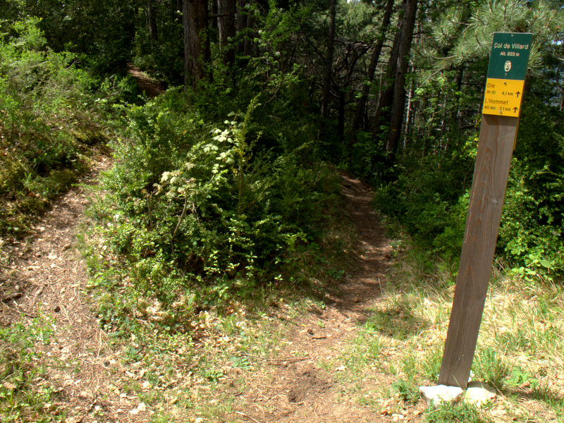 #3 Col du Villard : début de la descente... Col du Villard : début de la descente...