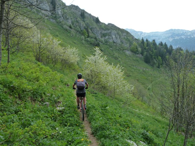 #1 Début de La descente : sentier à saisir en ce moment, le patou n Début de La descente : sentier à saisir en ce moment, le patou n'est pas encore arrivé