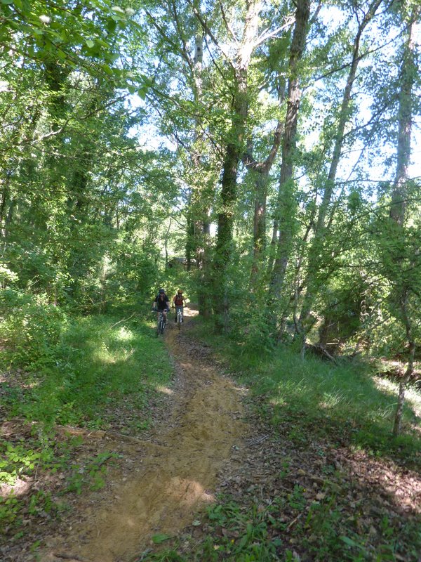 #3 RG de la Doa : Génial ce petit sentier RG de la Doa : Génial ce petit sentier