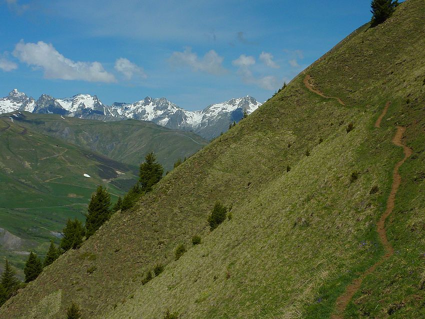 #6 Charvin : Sentier perché, Belledonne au fond Charvin : Sentier perché, Belledonne au fond