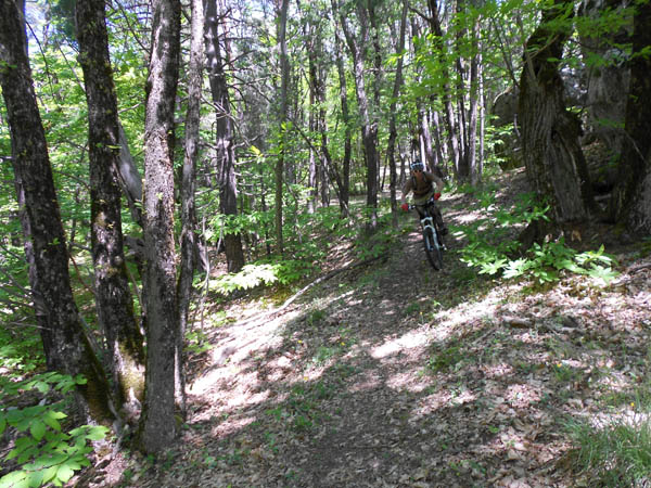 En forêt : La fabuleuse descente sur les Portettes.