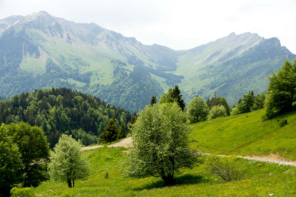 #7 Le synclinal de l Le synclinal de l'Arclusaz : ca se lève