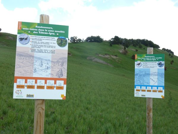 #7 panneaux : sensibilisation sur le dérangement de la faune dans l panneaux : sensibilisation sur le dérangement de la faune dans l'alpage de Pré Gentil