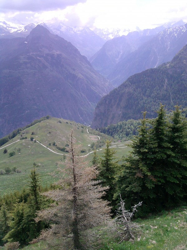 Vallée bourcate : Depuis la Croix du Carrelet