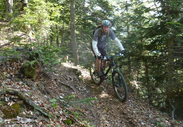 pêcheur : dans le sous-bois