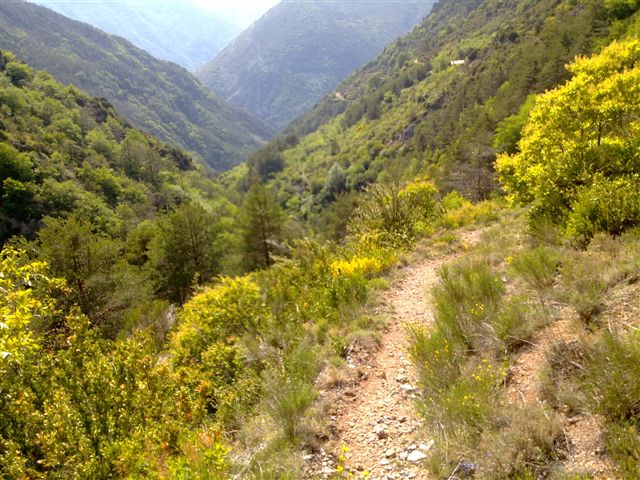 #4 Vallon : Dur la fin du vallon de Fontaine Froide Vallon : Dur la fin du vallon de Fontaine Froide