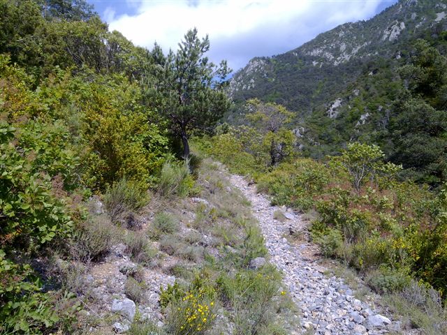 #5 Vallon : Fontaine Froide Vallon : Fontaine Froide