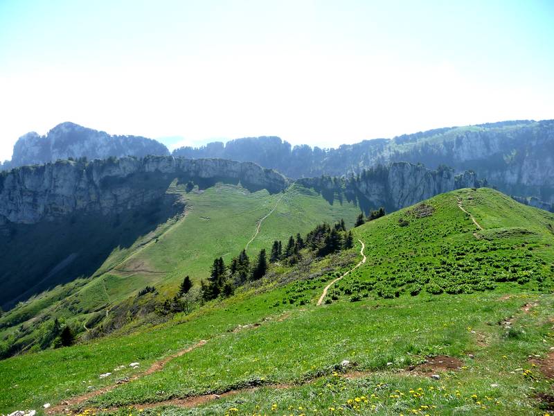 #4 Col de Léchaud : joli sentier Col de Léchaud : joli sentier