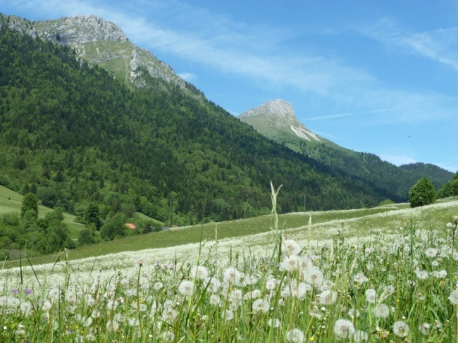 #2 Mont Colombier : et Rocher de La Bade, au programme hivernal, encore raté cette année Mont Colombier : et Rocher de La Bade, au programme hivernal, encore raté cette année
