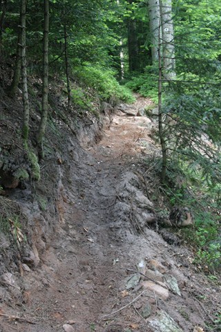 #11 pain sucre : Descente pain de sucre pain sucre : Descente pain de sucre