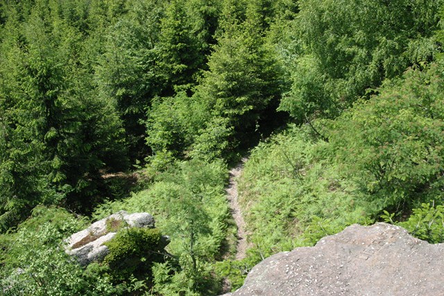 #8 descente : Sentier montée et descente descente : Sentier montée et descente