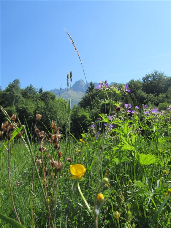 #2 Dent d Dent d'Arclusaz : Fleu-fleurs et sommet, déjà nettement plus proche.