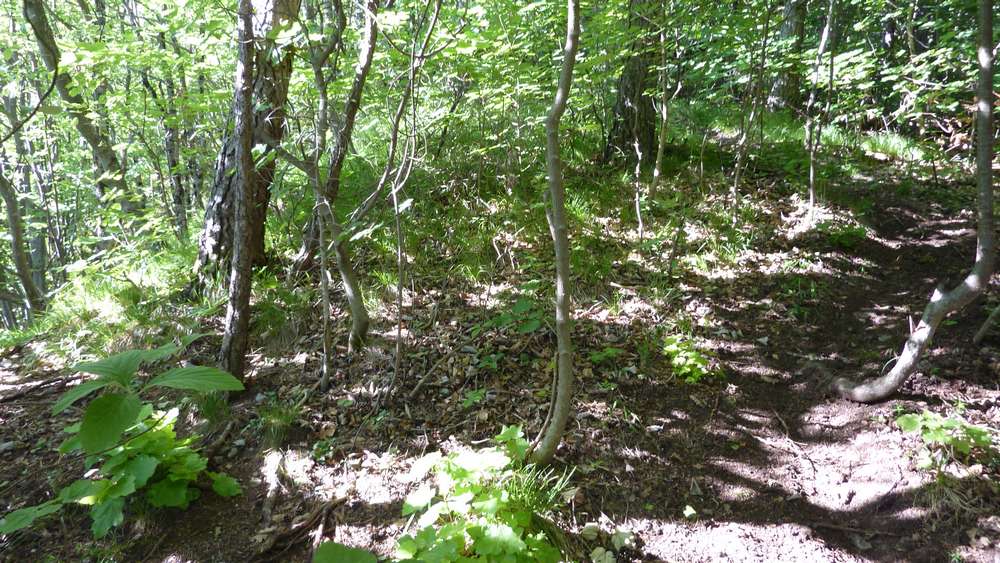 #4 Traversée GR9-Bois du Mollard : je pense que j Traversée GR9-Bois du Mollard : je pense que j'aurais du arriver de la droite mais je suis arrivé de la gauche !!!