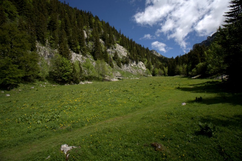 #6 Pré de Pratcel : terminus du joli sentier de Roche Blanche juste avant d Pré de Pratcel : terminus du joli sentier de Roche Blanche juste avant d'attaquer la montée du Ps de l'Echelle