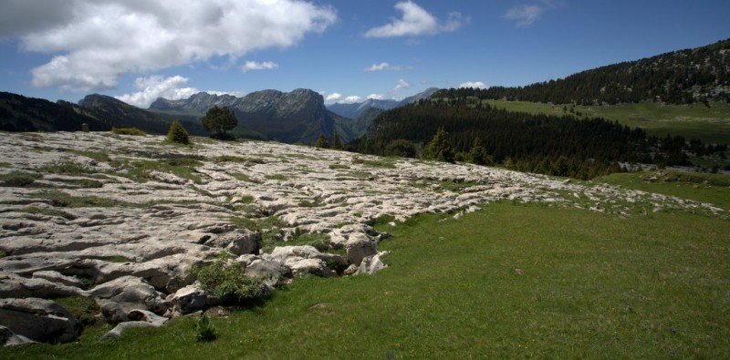 #9 Lapiaz : ou transhumance de moutons ? Lapiaz : ou transhumance de moutons ?