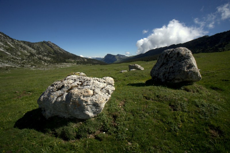 #4 Vallon de Marcieu : et ses menhirs tout rond Vallon de Marcieu : et ses menhirs tout rond