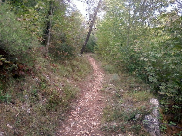#3 Superbe en sous-bois Superbe en sous-bois