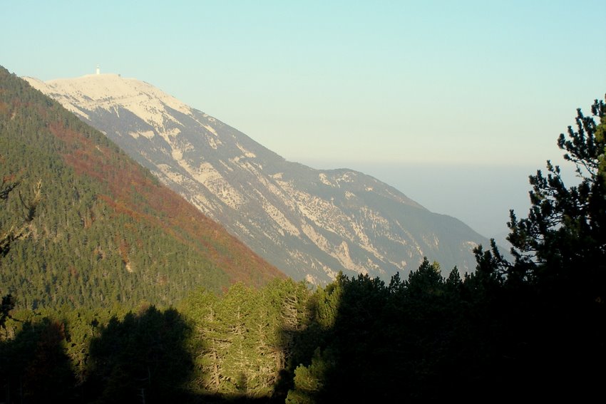 Ventoux : Vu du coté de la Tune