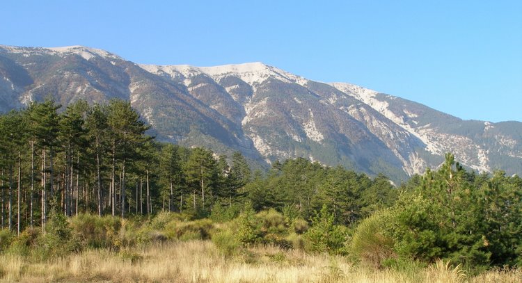 Ventoux : Aller, plus que 1300 m de dénivelé à remonter !